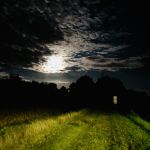 Miniature Les bords du canal latéral à la Loire